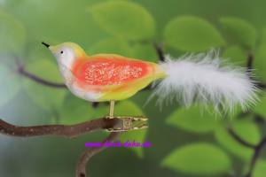 Glasvogel 