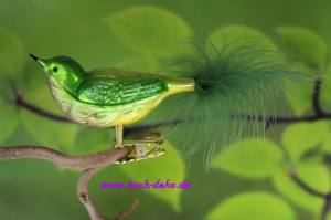 Glasvogel 