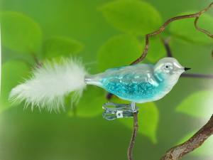 Glasvogel 
