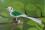 Glasvogel "Nostalgie grün", 8 cm, ..1 Stück