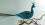 Glasvogel PFAU neonblau , 9cm/30cm, ..1 Stück