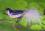 Glasvogel "lila-violett opal", 8,5cm, ..1 Stück