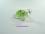 Schildkröte, Glas aus Lauscha, ca.6cm, grün
