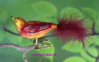 Mundgeblasener Glasvogel gold-ro...