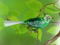 Mundgeblasener Glasvogel grün op...